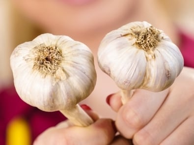 Garlic - Vegetable