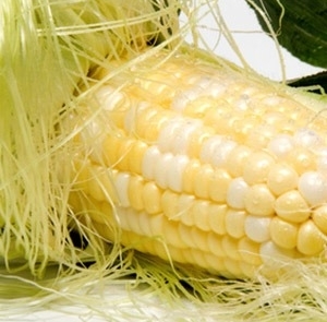 Corn on the cob - Corn silk