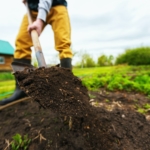 Shovel - Digging