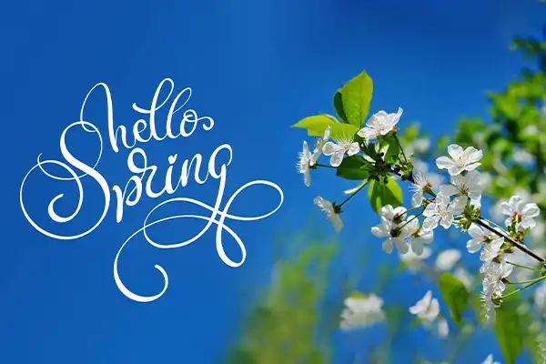 First day of spring 2025 represented by white flowers against a blue sky.