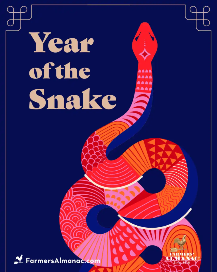 Lunar new year 2025, the year of the Snake.