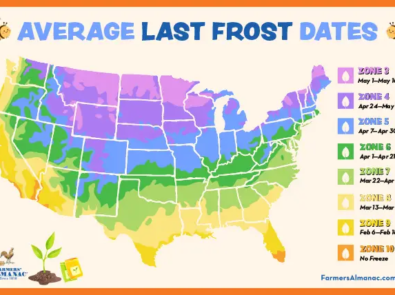 Your Average Last Frost Date featured image